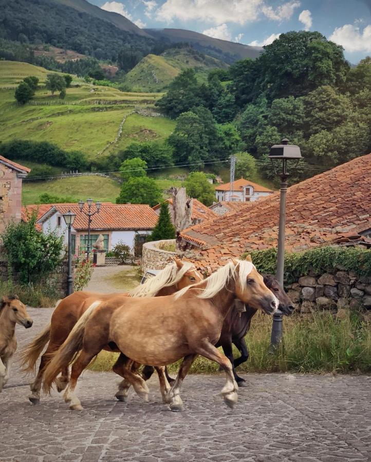 Готель La Infinita Rural Boutique Carmona  Екстер'єр фото